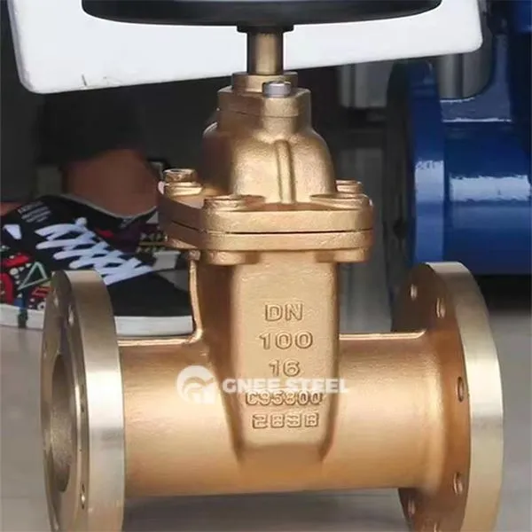 Alumīnija bronzas vārtu vārsti