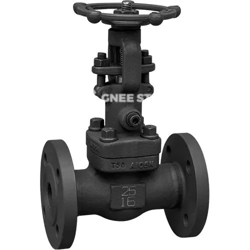 API 602 kaltu vārtu vārsts