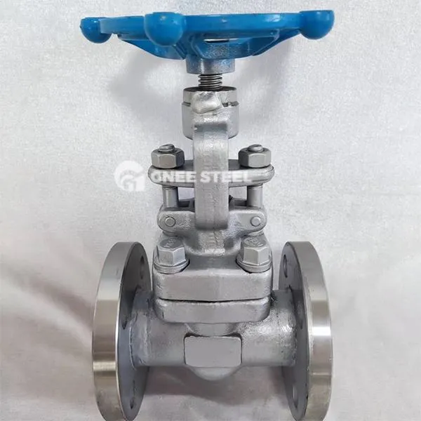 API 602 globusa vārsti