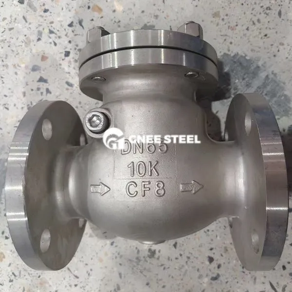 Oglekļa tērauda ANSI 300 šūpoles pretvārsts