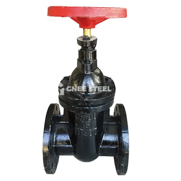 Čuguna vārtu vārsts