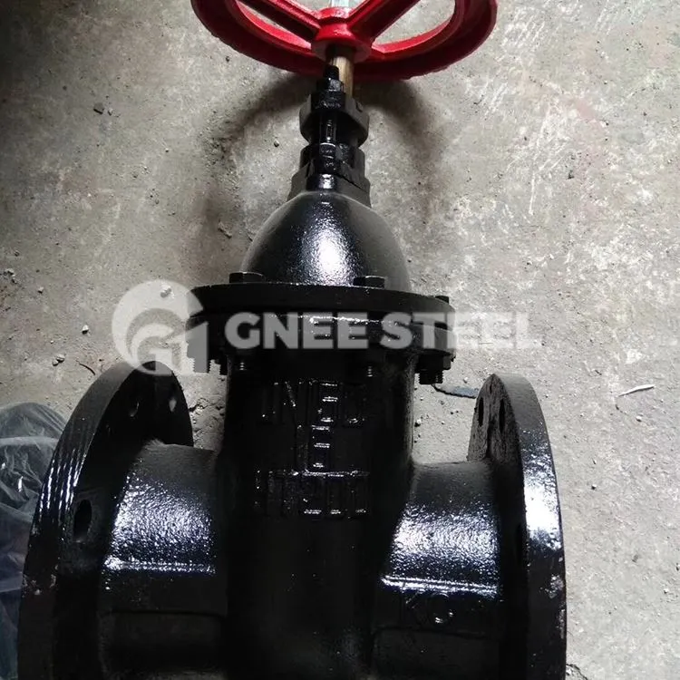 Čuguna vārtu vārsti