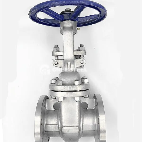 Lieta tērauda ķīļa vārtu vārsts