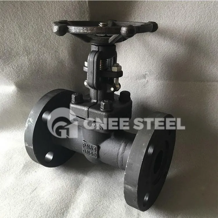 Kalts A105 Globe Valve