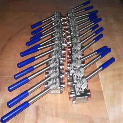 API 598 atsperes lodveida vārsts, API 608, F316, 1IN, 800 LB, nosūtīt uz Turkiye
