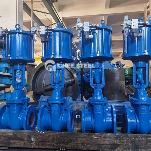 Pneimatisko ķīļa vārtu vārsti