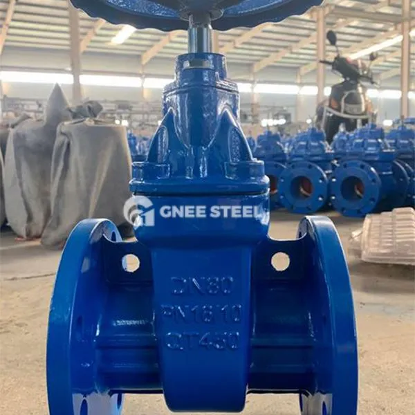 Izturīgs sēdekļu čuguna vārtu vārsts