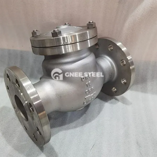 Nerūsējošā tērauda kriogēnie pretvārsti