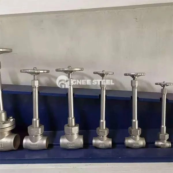 Nerūsējošā tērauda kriogēnie globusa vārsti